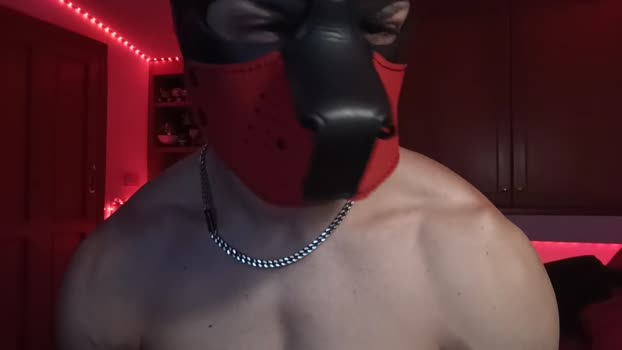Frabroker 04-08-2025 Recorded Video bigballs