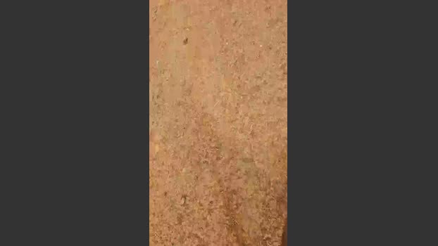 LeonTiff 05-08-2025 Recorded Video yummy