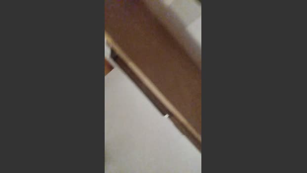 masajista_hot 05-08-2025 Recorded Video twink
