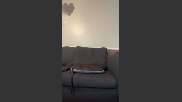 Dr_longDick91 06-08-2025 Recorded Video kiss