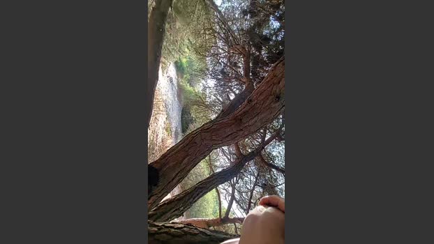 Horny_cruising 05-08-2025 Recorded Video hard
