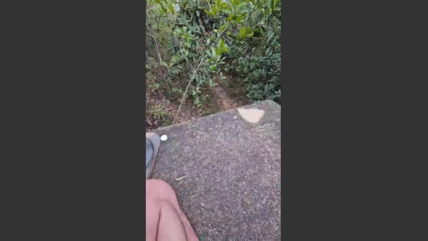 LeonTiff 05-08-2025 Recorded Video squirt