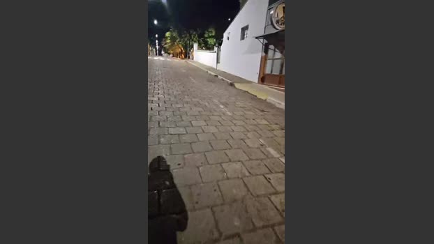 LeonTiff 06-08-2025 Recorded Video blowjob