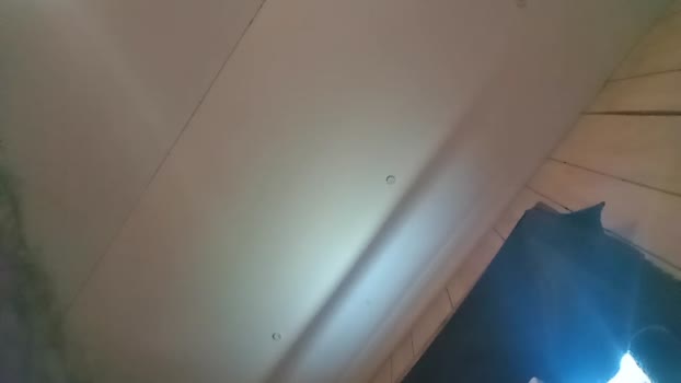 Littleguy25 05-08-2025 Recorded Video beautiful