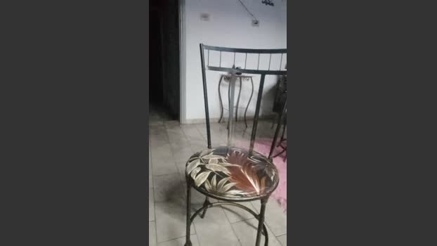 homemtravesso 06-08-2025 Recorded Video bigdick