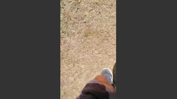 stefan519 05-08-2025 Recorded Video fuckass