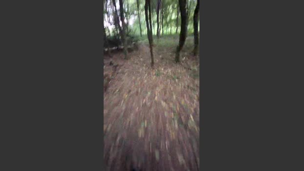 taxidancer1 05-08-2025 Recorded Video squirt