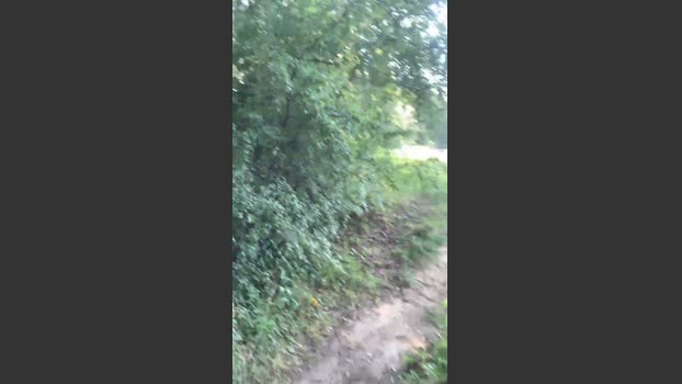 Joueurh 06-08-2025 Recorded Video lick