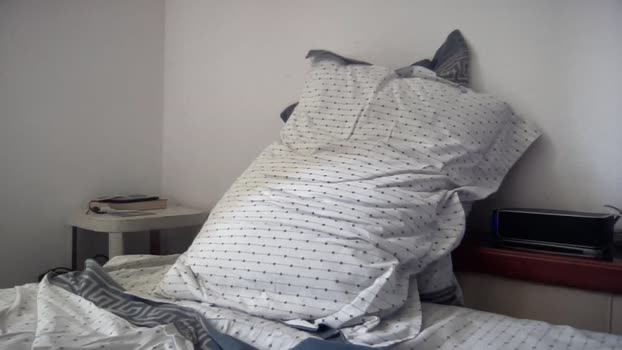 alessandromori9 06-08-2025 Recorded Video toy