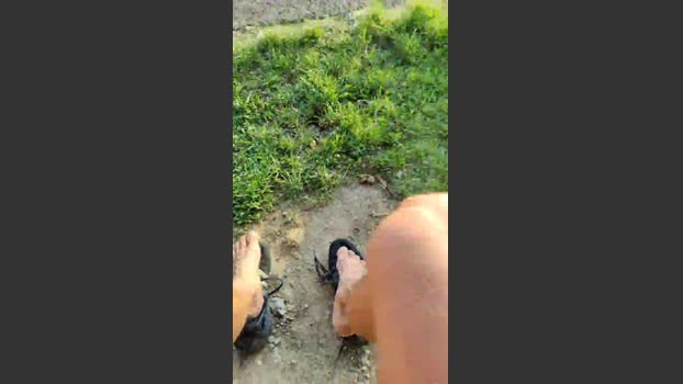 ichEnzian76 06-08-2025 Recorded Video sweet