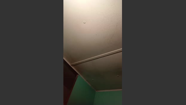 Littleguy25 08-08-2025 Recorded Video Ass