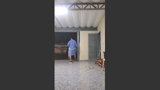 Lobao_Nervoso 08-08-2025 Recorded Video naughty