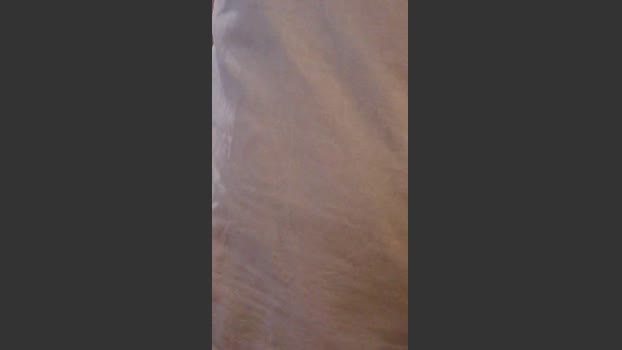 Publicdick97 08-08-2025 Recorded Video toy