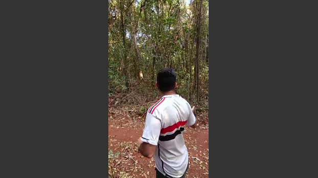 Aieloucura 08-08-2025 Recorded Video play