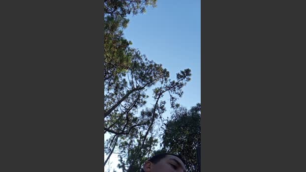 Chicomaracucho