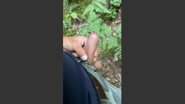 Zorro2024 09-08-2025 Recorded Video moan