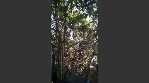 raul4396624 08-08-2025 Recorded Video harddick
