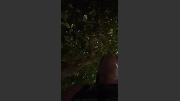 Nethinho0 10-08-2025 Recorded Video orgasm