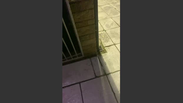 Outandabout 10-08-2025 Recorded Video fingers