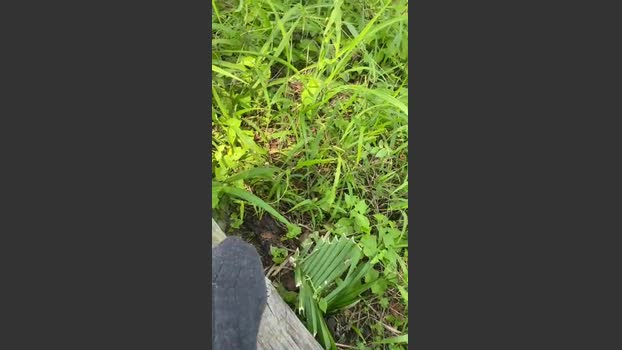 mexital58a 09-08-2025 Recorded Video bigload