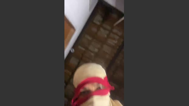 natanzinho5 10-08-2025 Recorded Video Cam