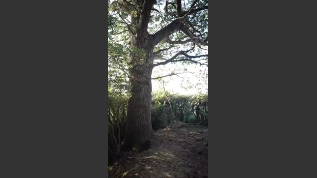 dave_naked 10-08-2025 Recorded Video jackoff