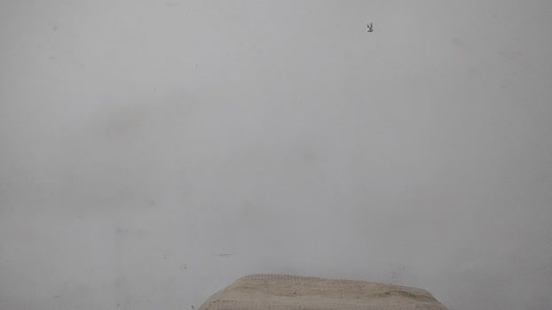 Aieloucura 11-08-2025 Recorded Video naked