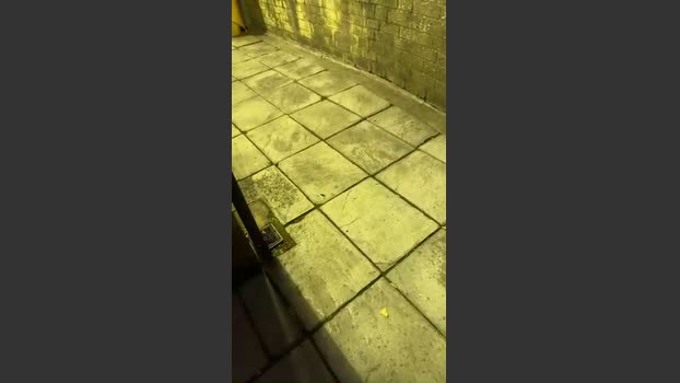 Outandabout 11-08-2025 Recorded Video amateur