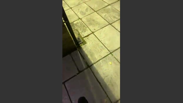 Outandabout 11-08-2025 Recorded Video oral