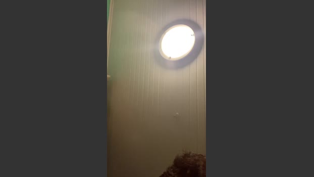 alvzky 12-08-2025 Recorded Video yummy