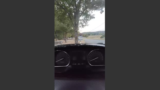 luis8187 11-08-2025 Recorded Video jerkoff
