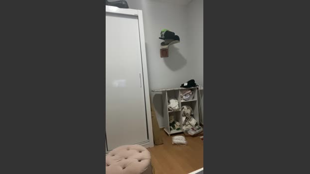 Branquihogo 13-08-2025 Recorded Video bigtoys