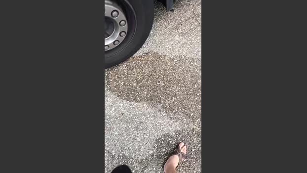 Truck_69 13-08-2025 Recorded Video strip