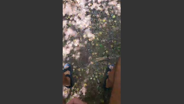 Bart_6 14-08-2025 Recorded Video skinny