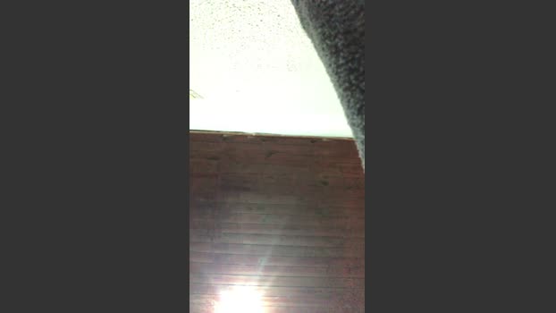 Pjjunior_ 14-08-2025 Recorded Video bigdick