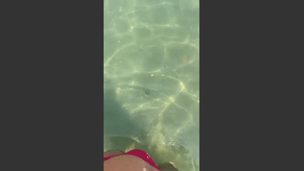 danicloud1 14-08-2025 Recorded Video deepthroat