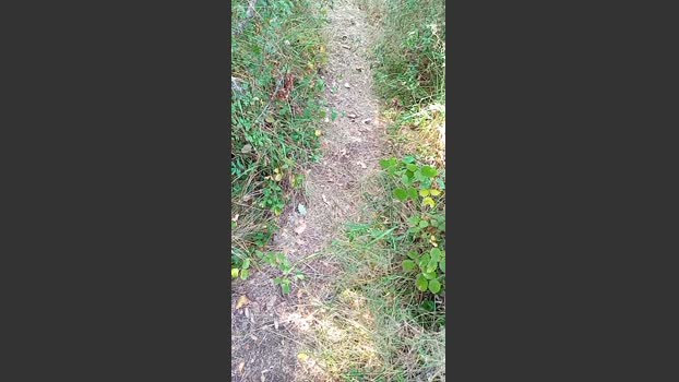 jonpardo4 14-08-2025 Recorded Video blowjob