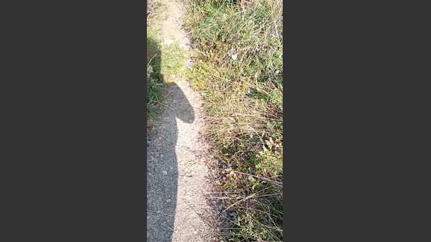 jonpardo4 14-08-2025 Recorded Video fuckface