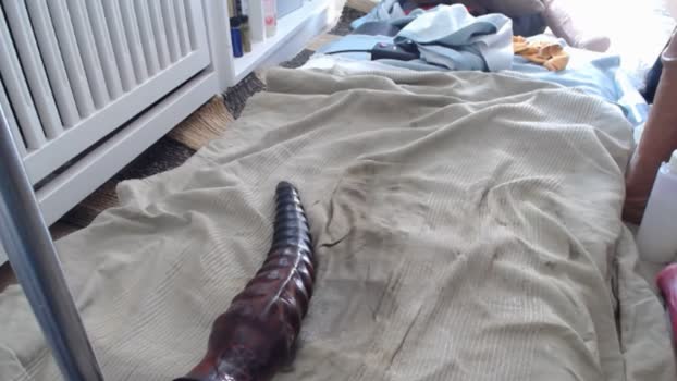 Kmsmxff 15-08-2025 Recorded Video harddick