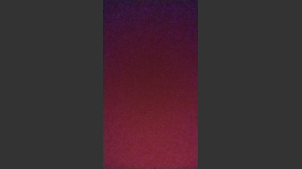 Niky1977 15-08-2025 Recorded Video gag