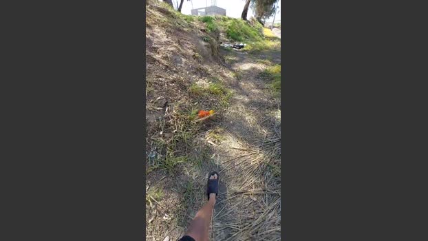 jao_magrao 14-08-2025 Recorded Video bj-dildo