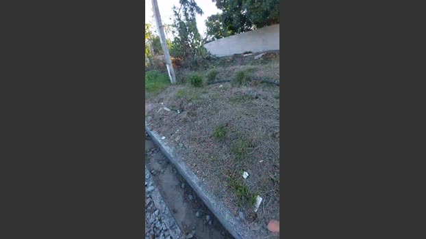 jao_magrao 14-08-2025 Recorded Video Nude