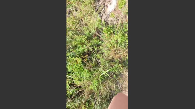pegg_cunilingus 15-08-2025 Recorded Video bigass