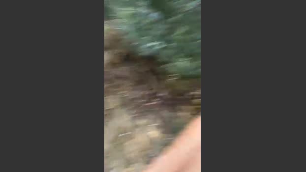 putabasura1 15-08-2025 Recorded Video show