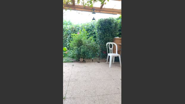 tomsauwer 15-08-2025 Recorded Video sex