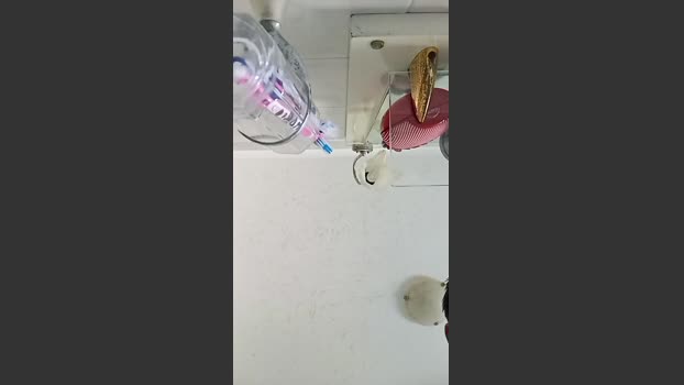 videohot3 15-08-2025 Recorded Video sex
