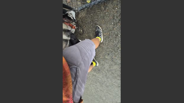 Beardedveteran 16-08-2025 Recorded Video naked