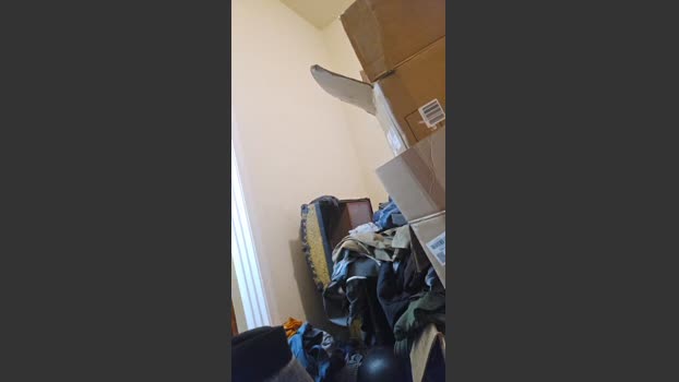 Beardedveteran 16-08-2025 Recorded Video hard