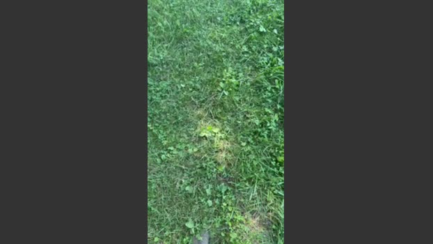 Joueurh 16-08-2025 Recorded Video strip