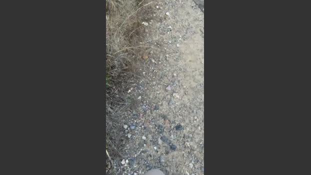 brizio83_SV 15-08-2025 Recorded Video ass